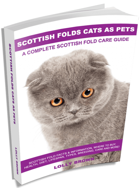 Lolly Brown | Scottish Fold Cats Table of Contents