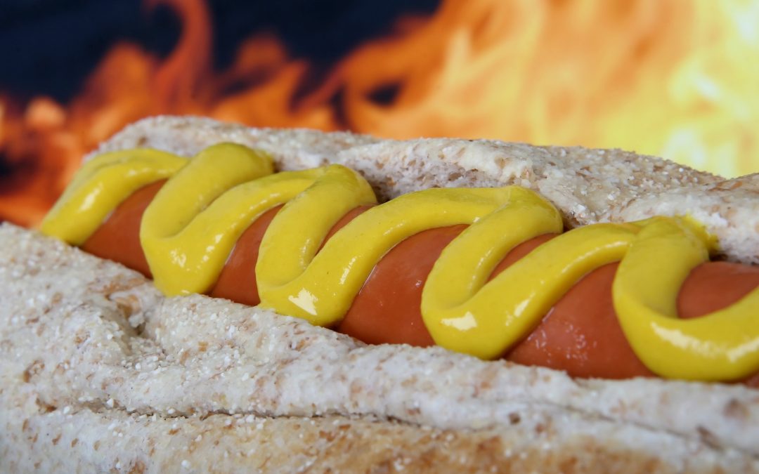 Can I Feed My Dog Hot Dogs?