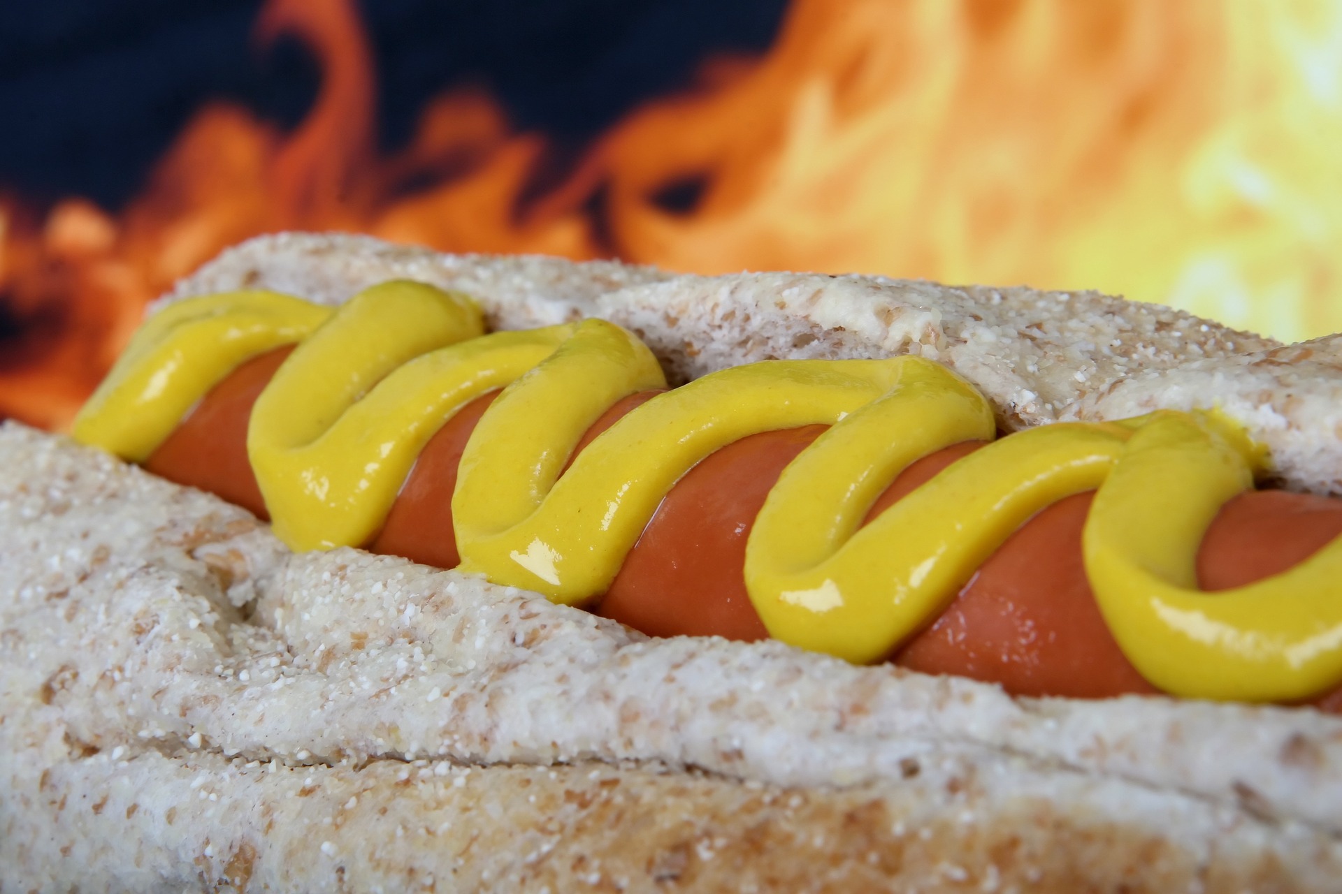 Can I Feed My Dog Hot Dogs?