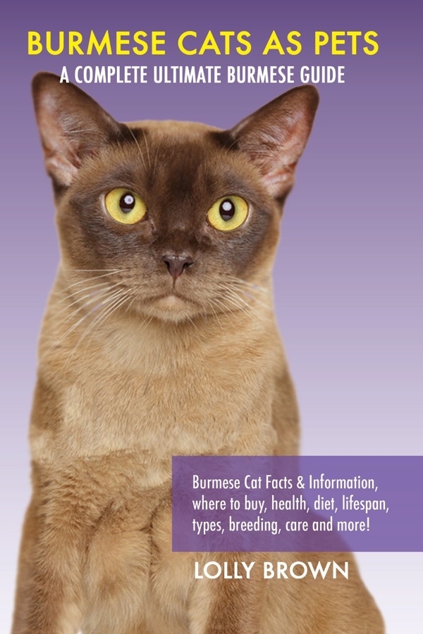 burmese-cats-cover-book-2