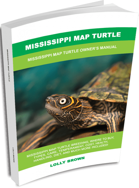 Mississippi Map Turtle 3D Cover 480x647 