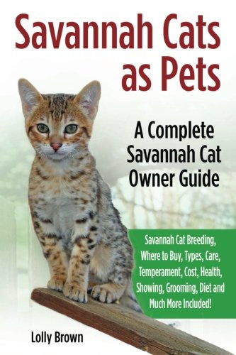 savannah-cats-as-pets